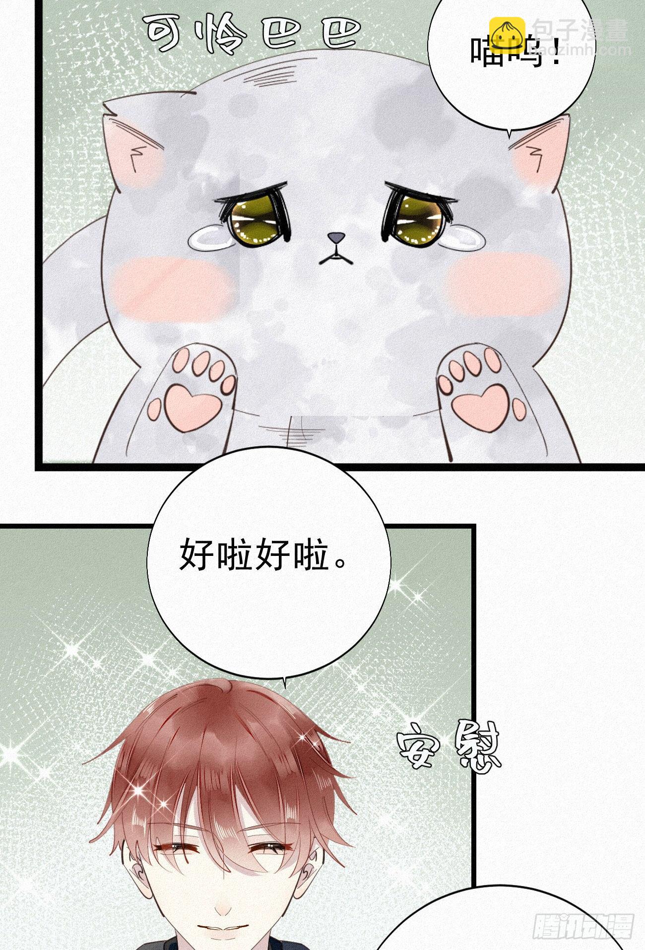 《我捡的流浪猫变成人了？》35.面基会 第7页
