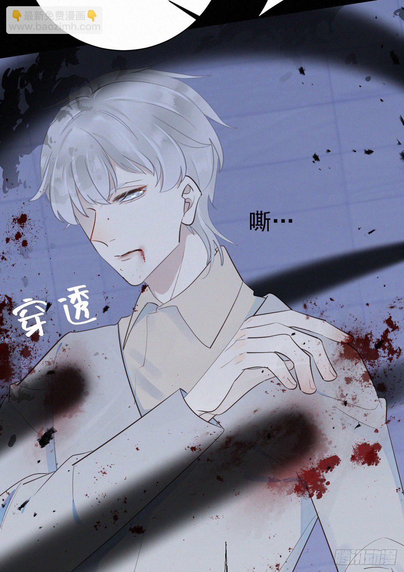 《我捡的流浪猫变成人了？》43.废什么话 第31页