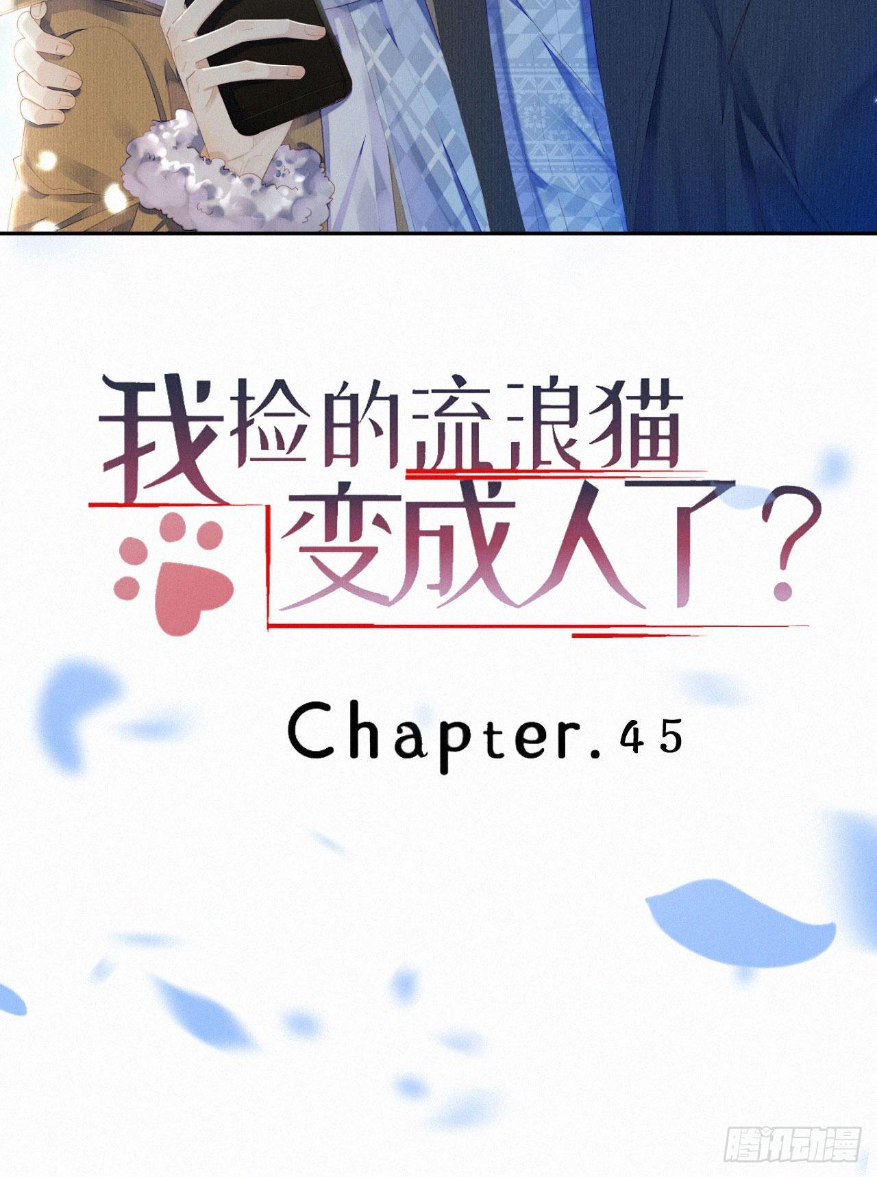 《我捡的流浪猫变成人了？》45.我会帮你的 第2页