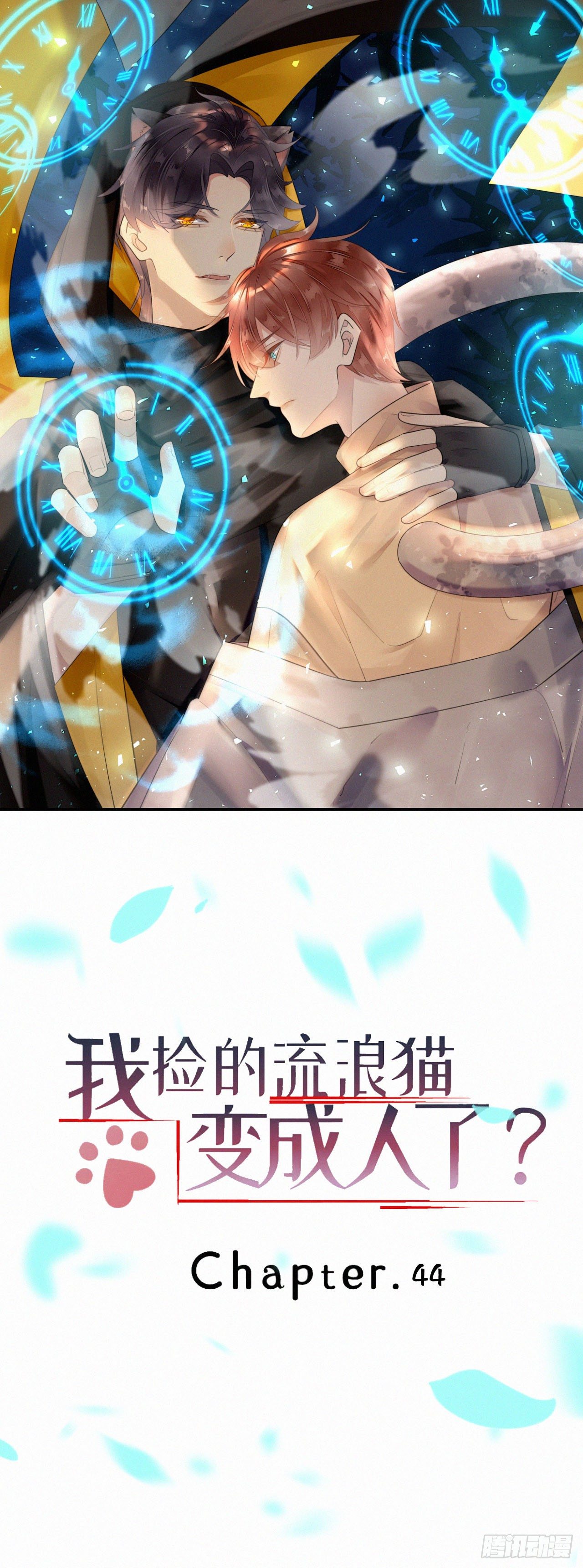 《我捡的流浪猫变成人了？》44.我受了好严重的内伤 第1页