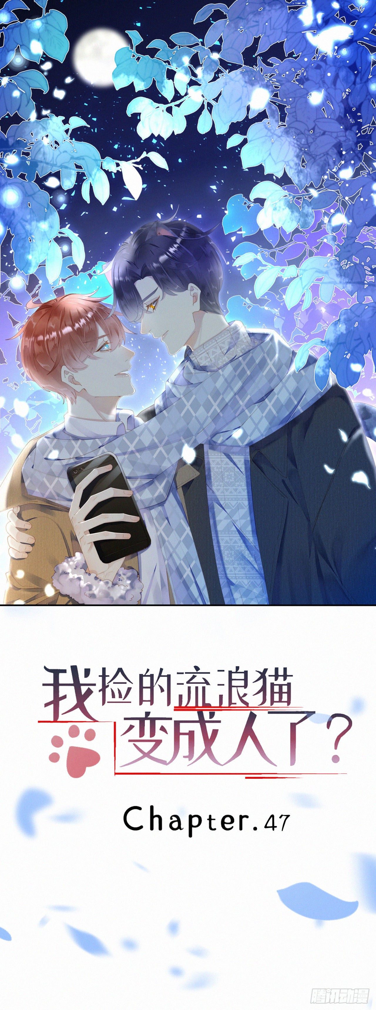 《我捡的流浪猫变成人了？》47.有点热 第1页