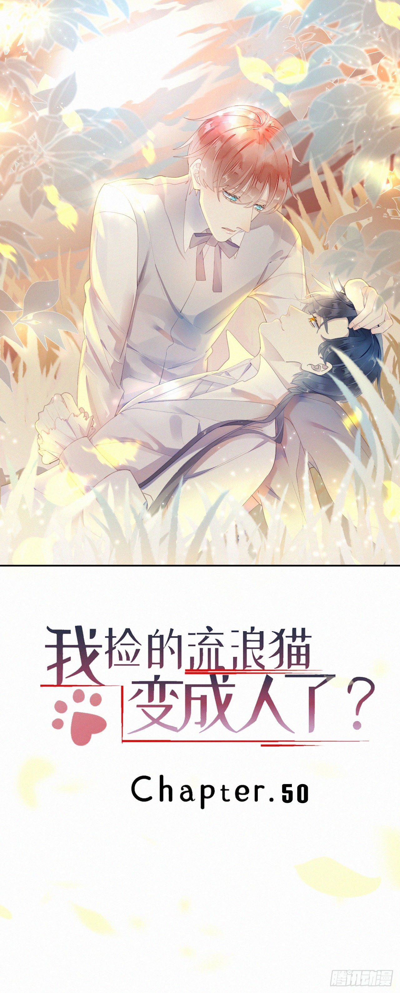 《我捡的流浪猫变成人了？》50.快熘 第1页
