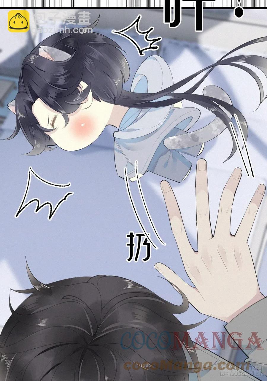 《我捡的流浪猫变成人了？》54.快把我变回去 第19页