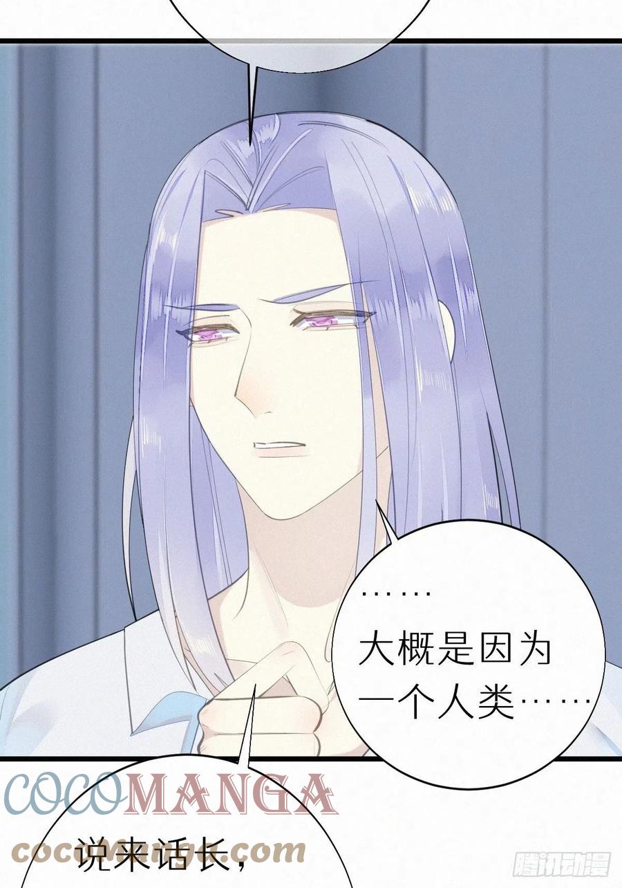 《我捡的流浪猫变成人了？》54.快把我变回去 第29页