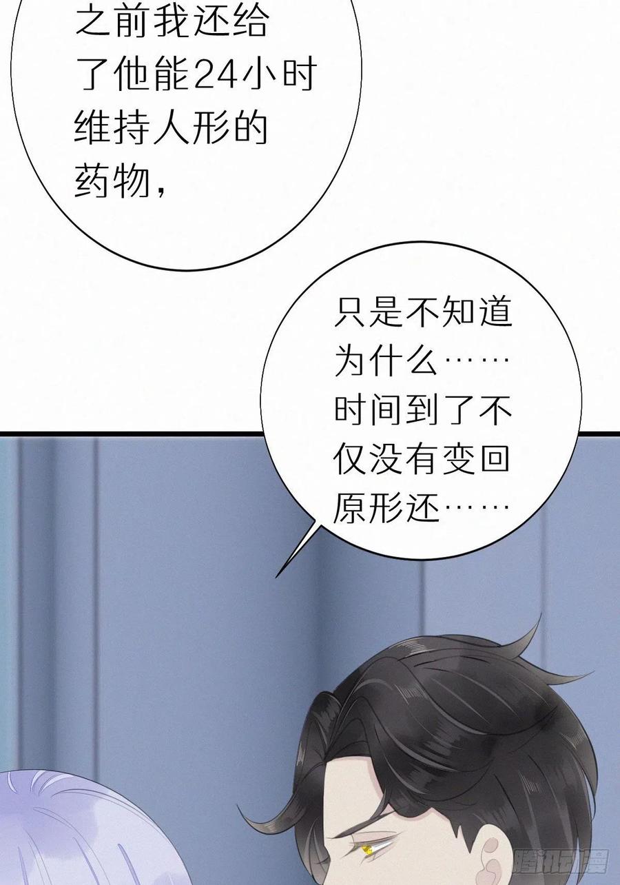《我捡的流浪猫变成人了？》54.快把我变回去 第30页