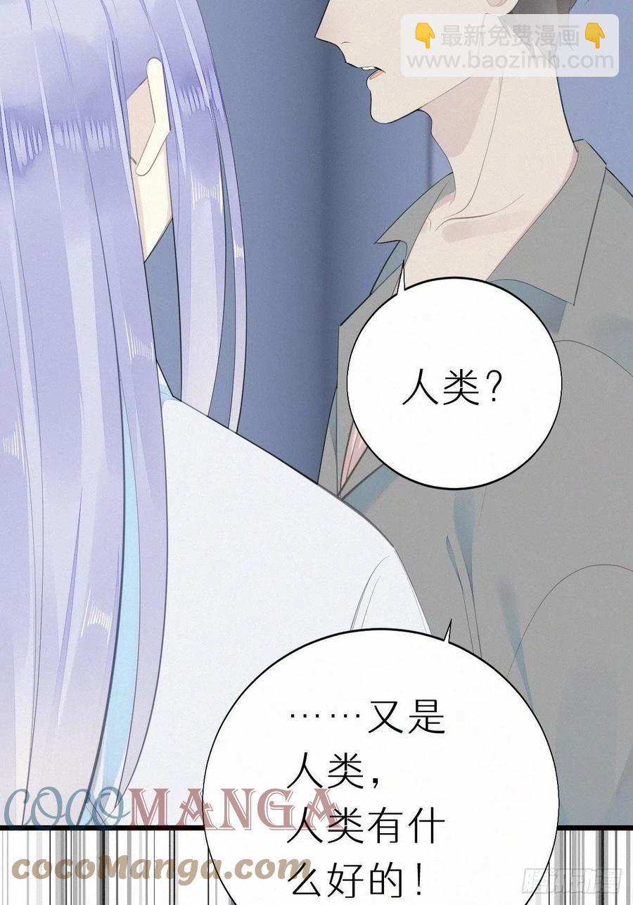 《我捡的流浪猫变成人了？》54.快把我变回去 第31页