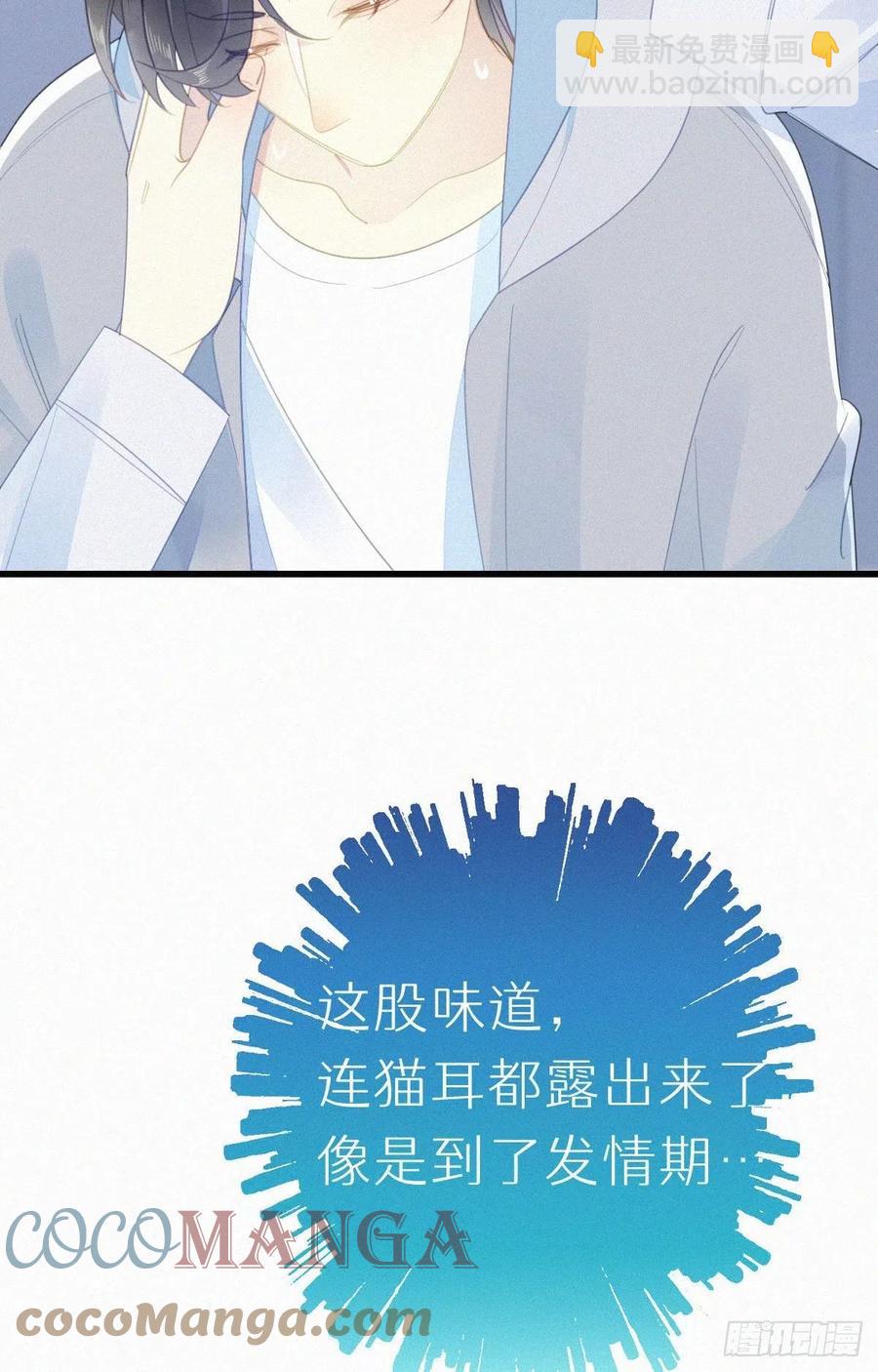 《我捡的流浪猫变成人了？》54.快把我变回去 第3页