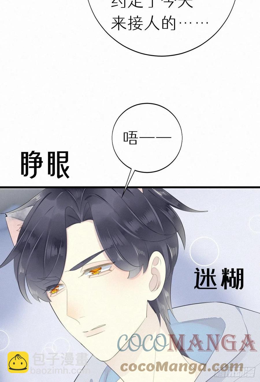 《我捡的流浪猫变成人了？》54.快把我变回去 第41页