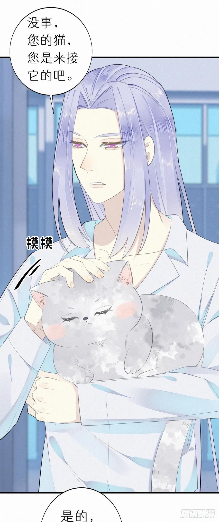 《我捡的流浪猫变成人了？》56.试探 第12页