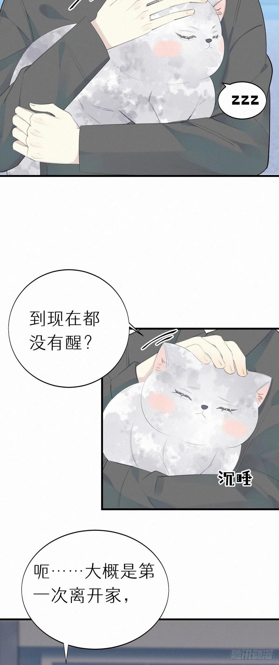 《我捡的流浪猫变成人了？》56.试探 第14页
