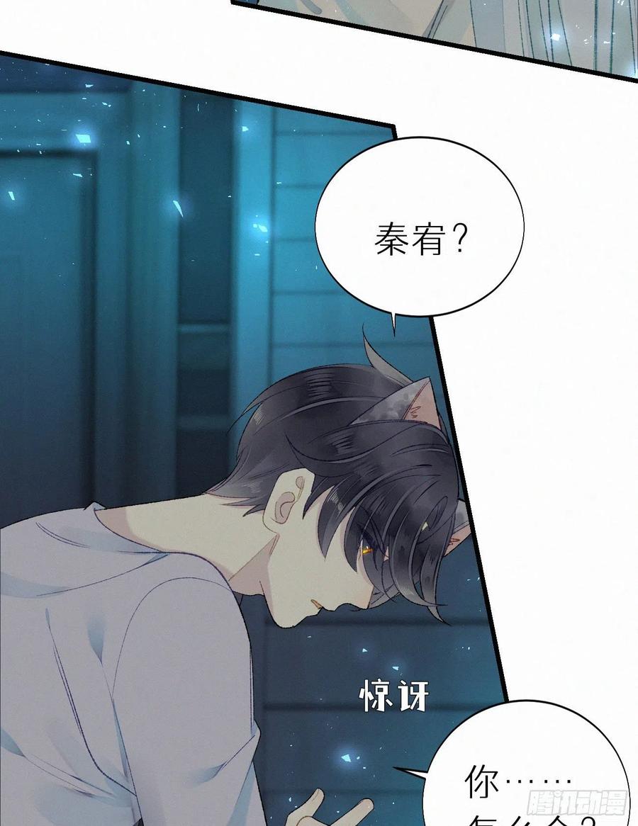 《我捡的流浪猫变成人了？》58.你帮过几个人? 第5页