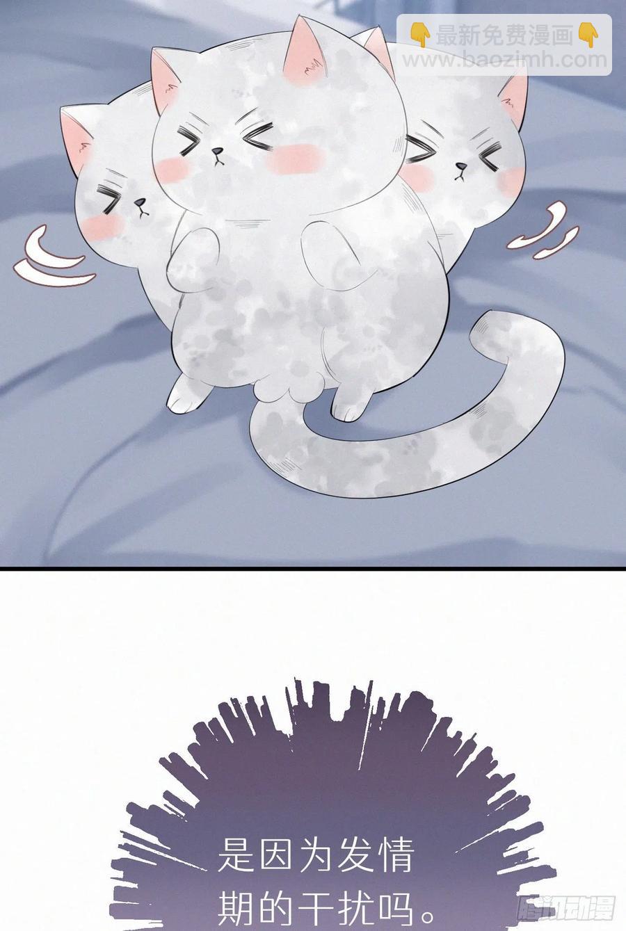 《我捡的流浪猫变成人了？》62.暴风雨前的宁静 第14页