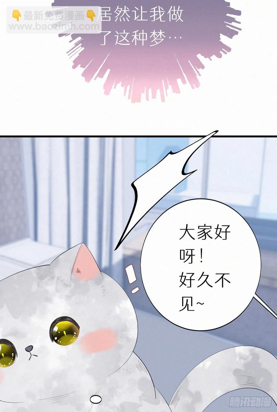 《我捡的流浪猫变成人了？》62.暴风雨前的宁静 第15页