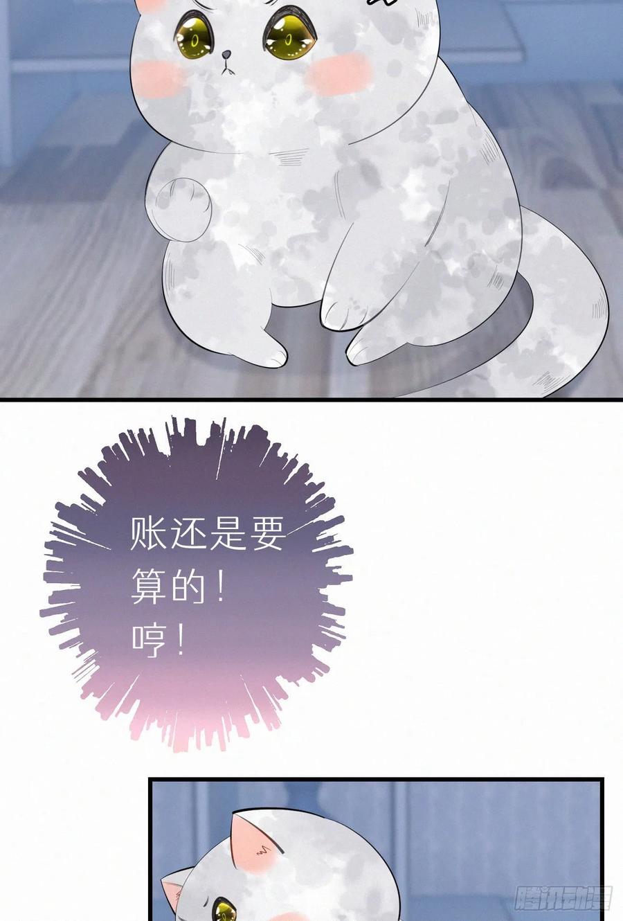 《我捡的流浪猫变成人了？》62.暴风雨前的宁静 第26页