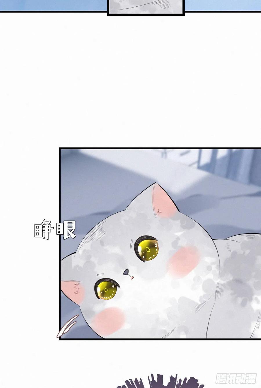 《我捡的流浪猫变成人了？》62.暴风雨前的宁静 第8页
