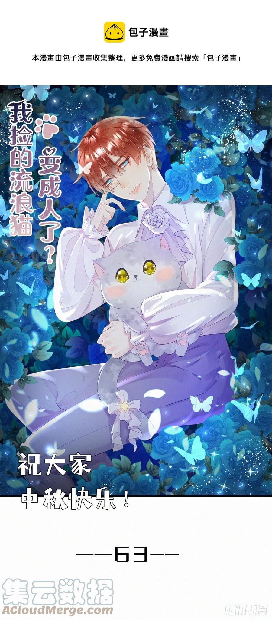 《我捡的流浪猫变成人了？》63.人类真是胆小又脆弱 第1页