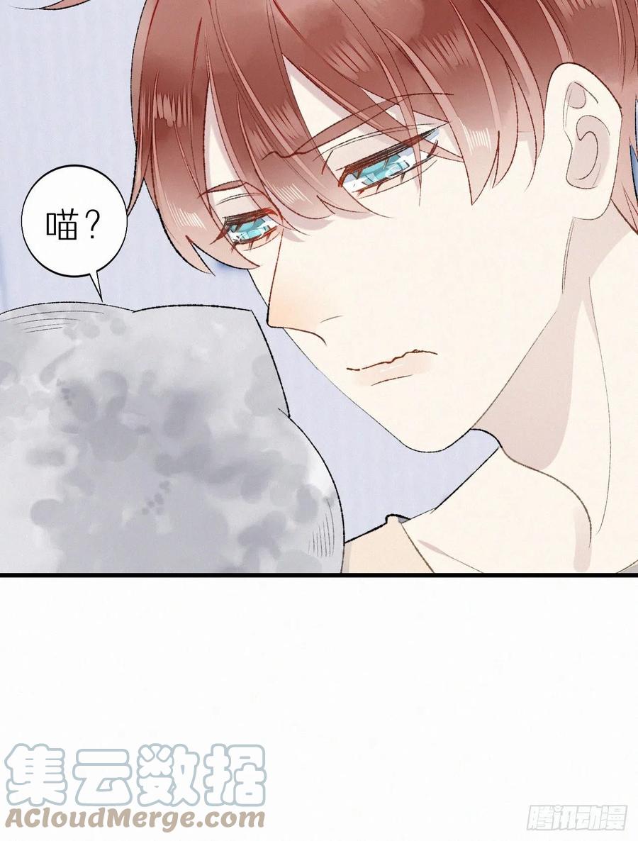 《我捡的流浪猫变成人了？》63.人类真是胆小又脆弱 第31页