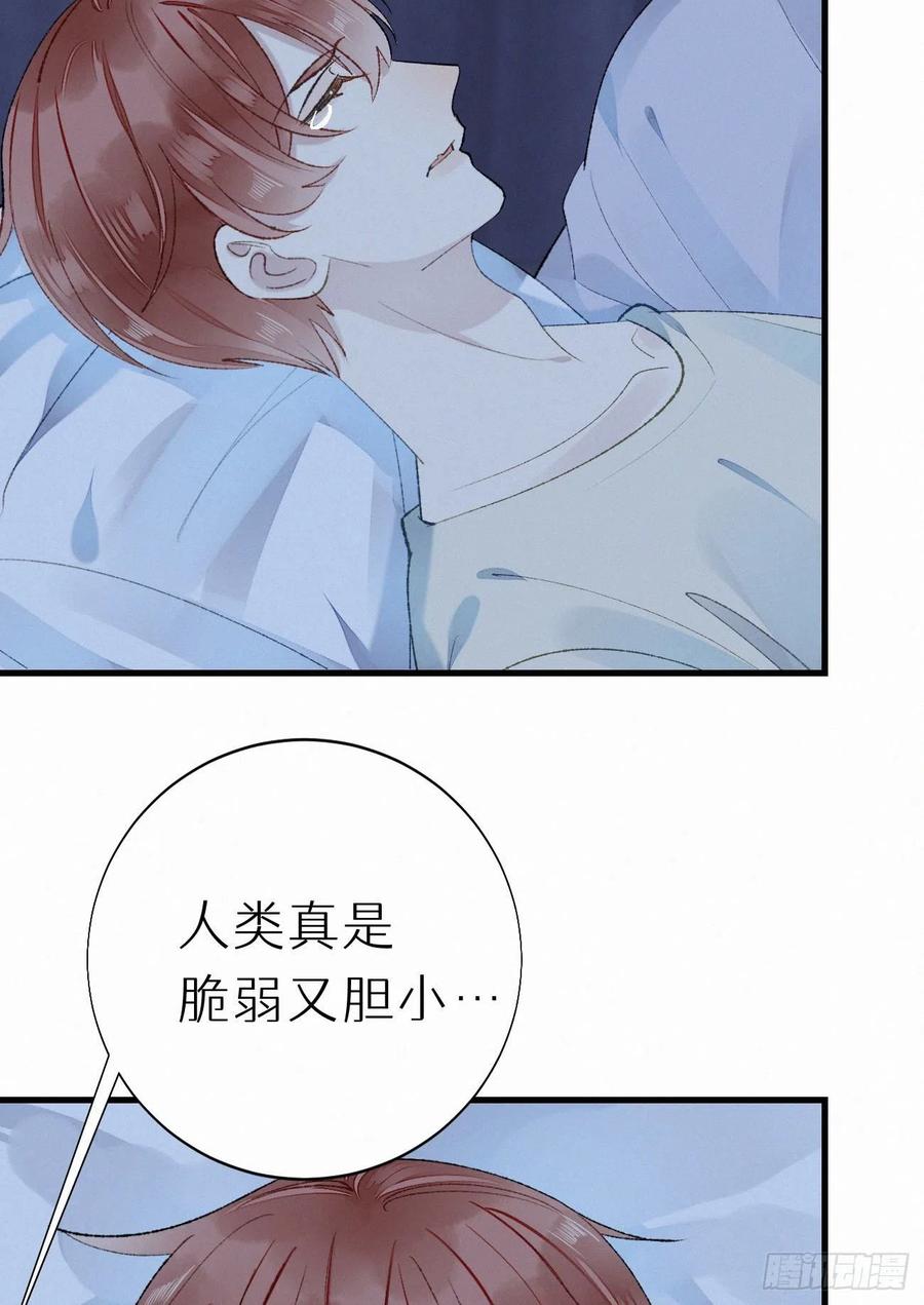 《我捡的流浪猫变成人了？》63.人类真是胆小又脆弱 第39页