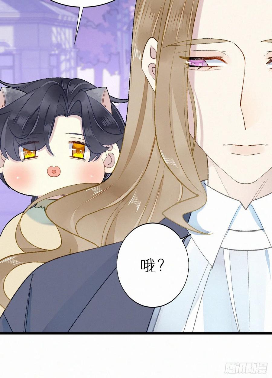 《我捡的流浪猫变成人了？》68.无父无母 哥哥横死 第44页