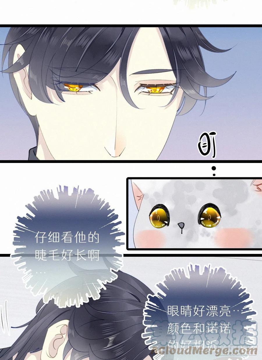 《我捡的流浪猫变成人了？》76.三个条件 第28页