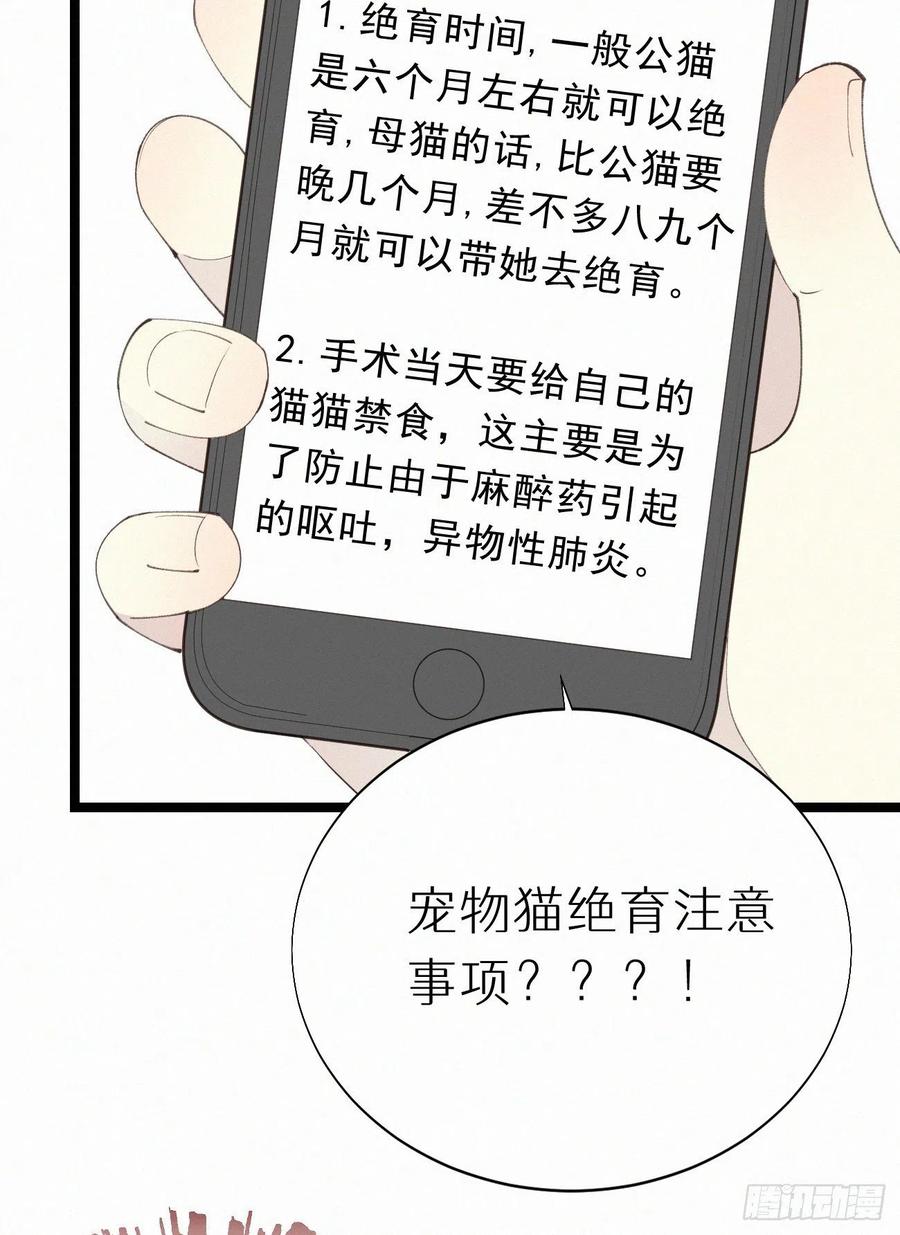 《我捡的流浪猫变成人了？》77.你怎么能这么狠心？ 第17页