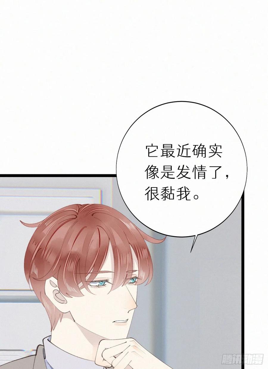 《我捡的流浪猫变成人了？》77.你怎么能这么狠心？ 第30页