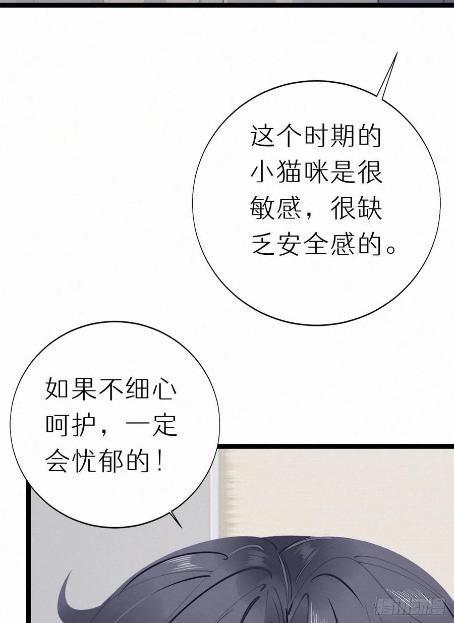 《我捡的流浪猫变成人了？》77.你怎么能这么狠心？ 第42页