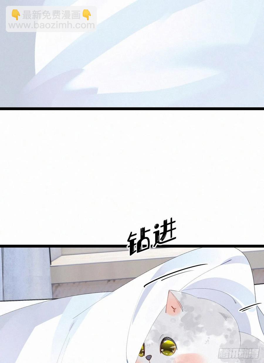 《我捡的流浪猫变成人了？》75.是时候安排绝育了 第15页