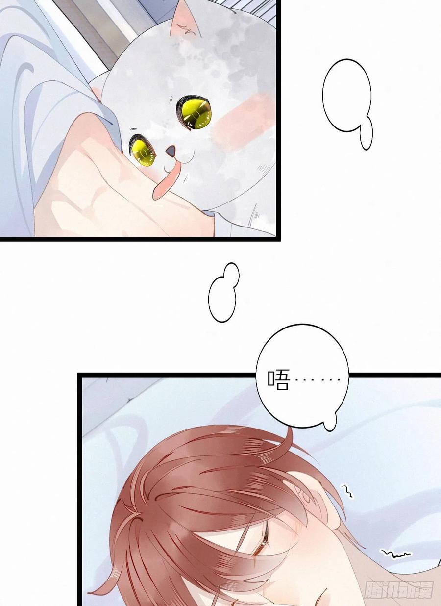 《我捡的流浪猫变成人了？》75.是时候安排绝育了 第18页