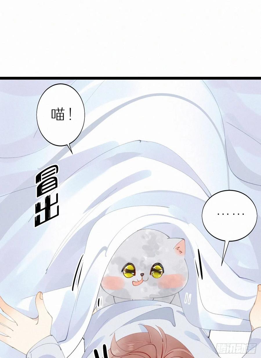 《我捡的流浪猫变成人了？》75.是时候安排绝育了 第24页
