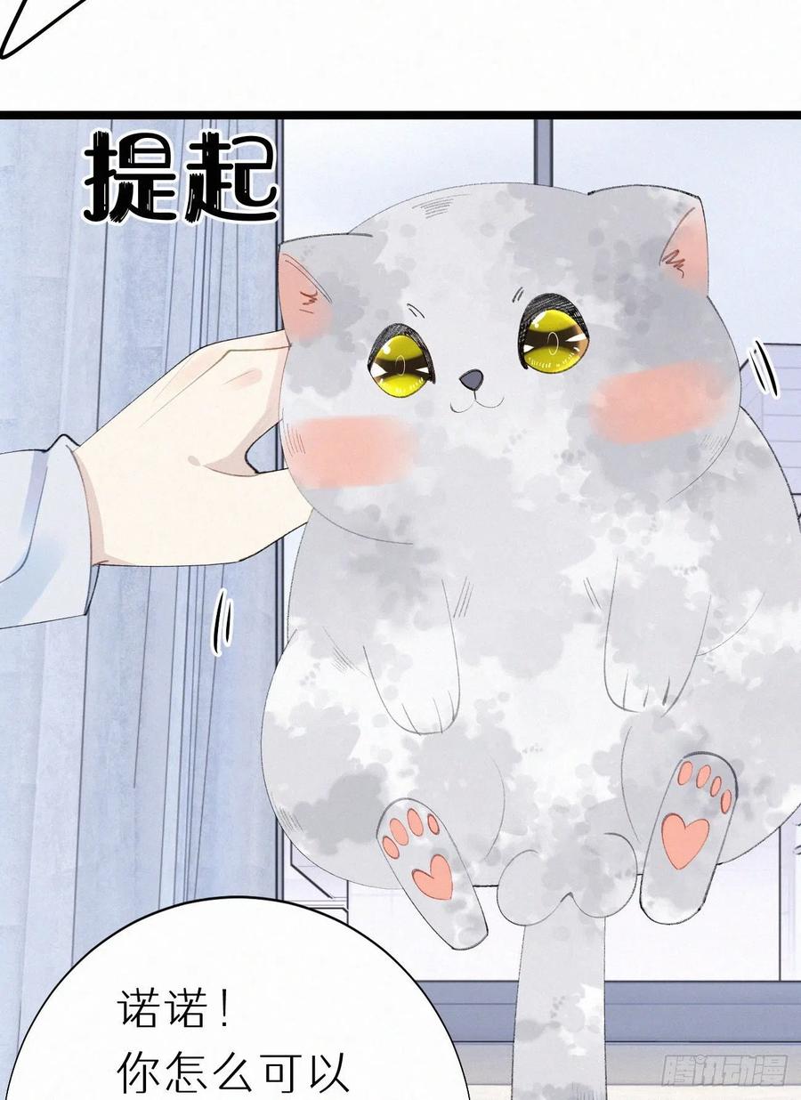 《我捡的流浪猫变成人了？》75.是时候安排绝育了 第26页