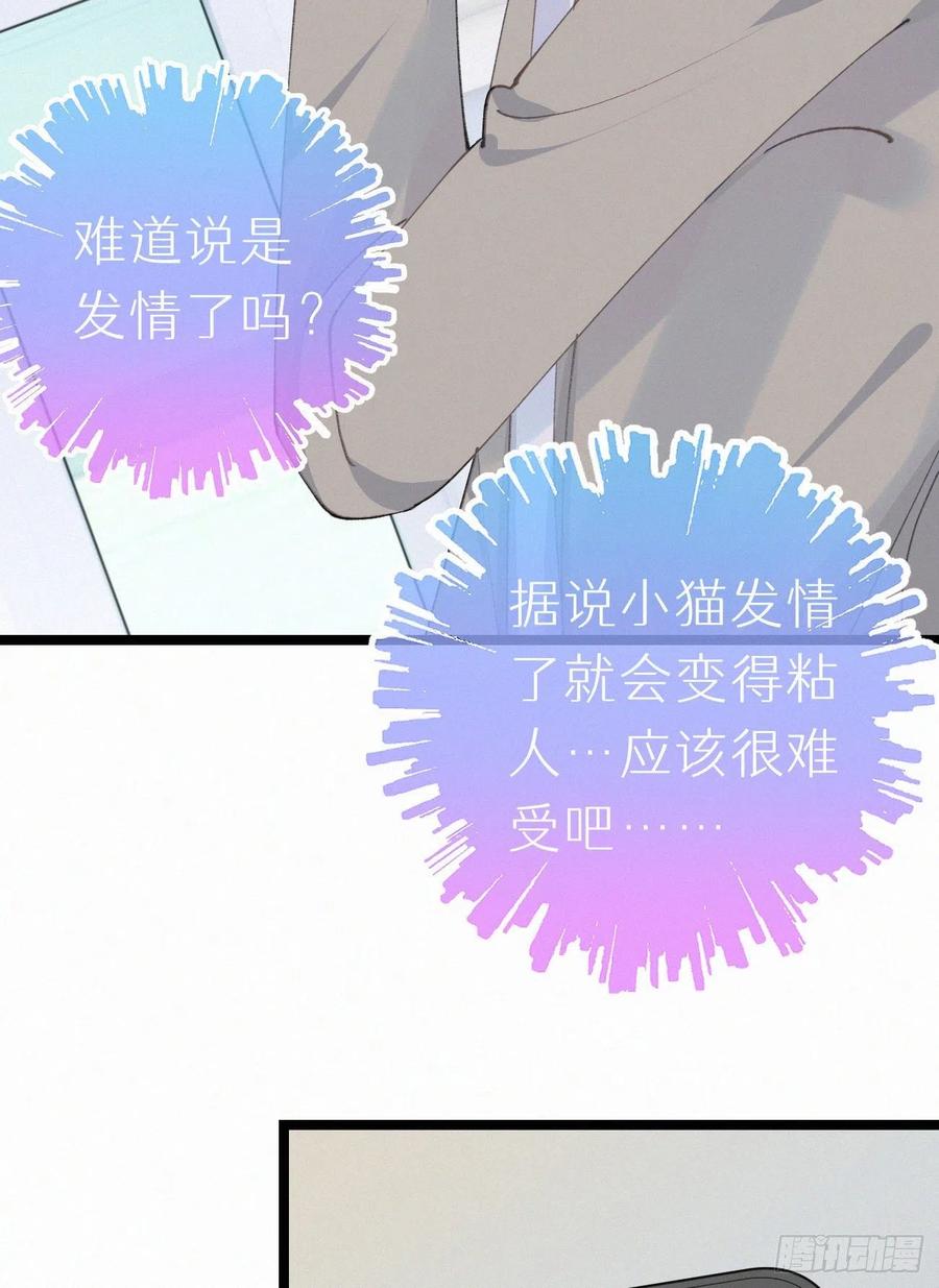 《我捡的流浪猫变成人了？》75.是时候安排绝育了 第45页