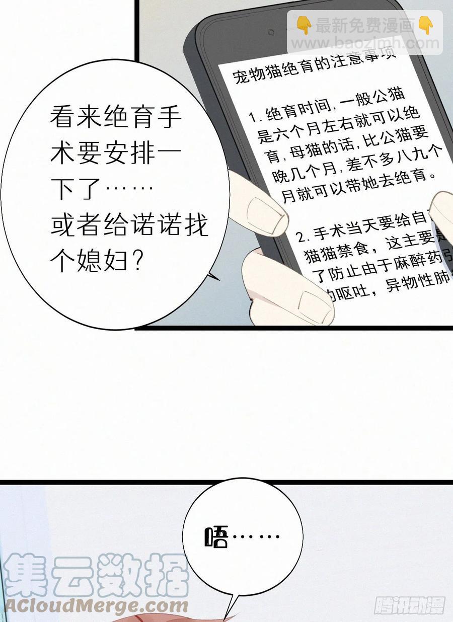 《我捡的流浪猫变成人了？》75.是时候安排绝育了 第46页