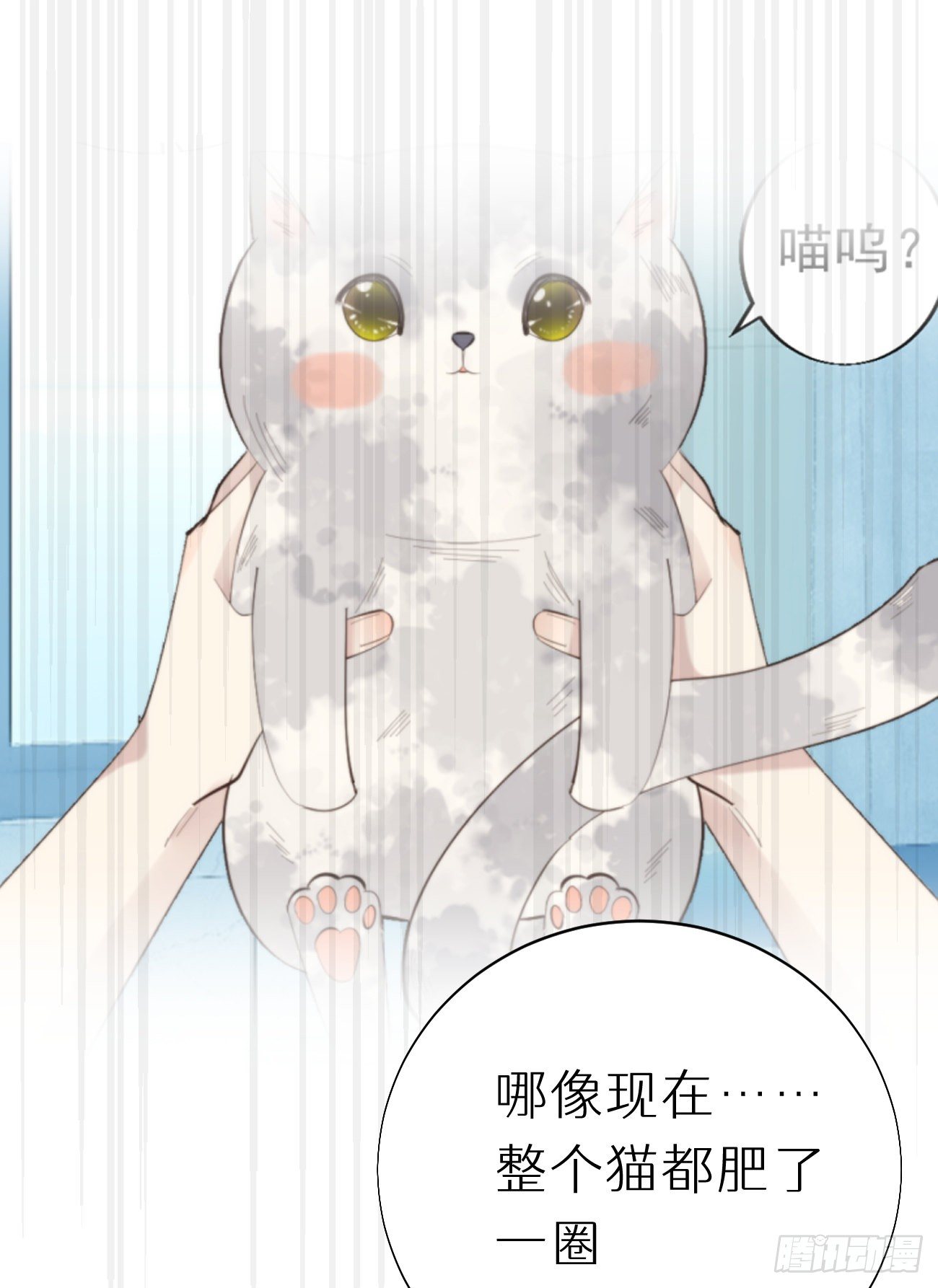 《我捡的流浪猫变成人了？》番外三.吃胖 第26页