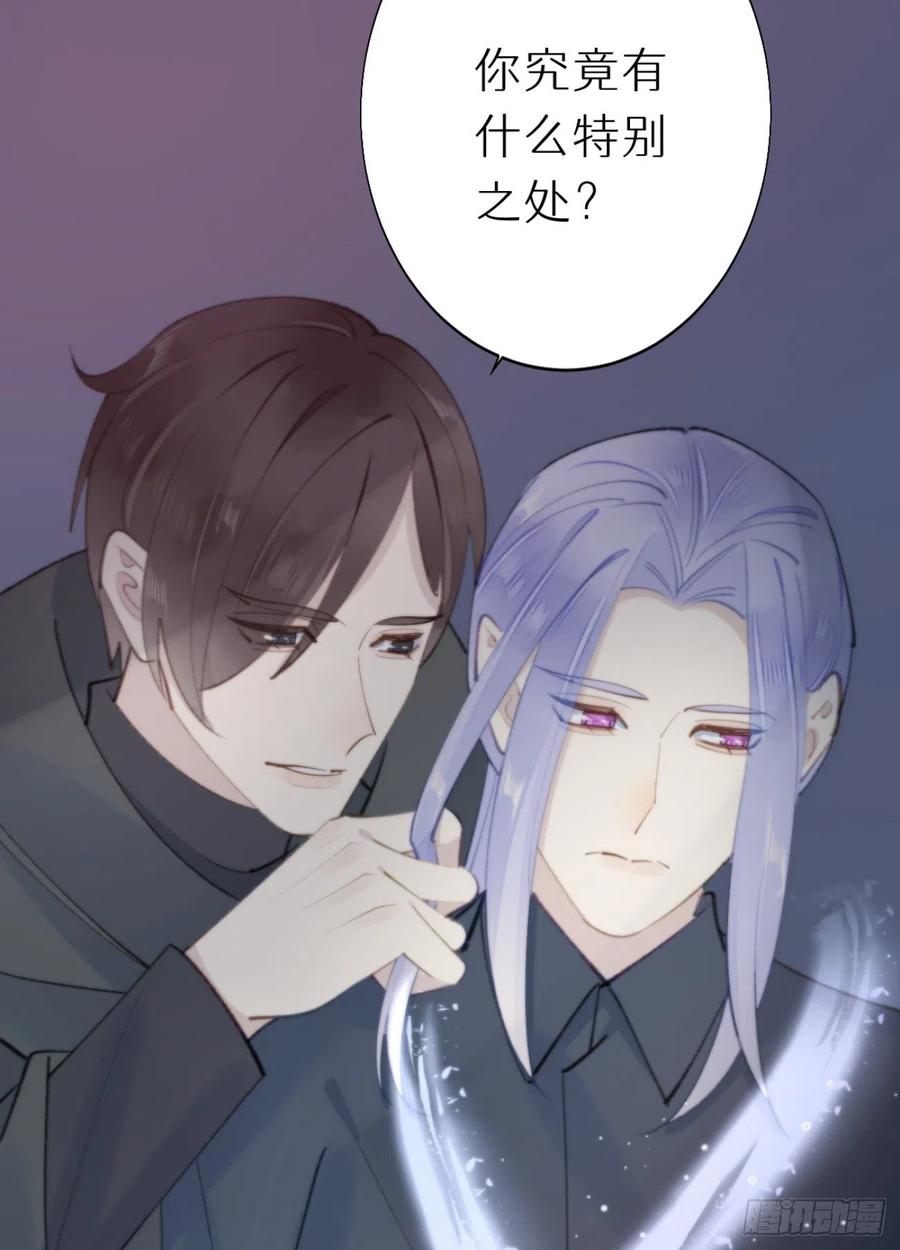 《我捡的流浪猫变成人了？》87.别装了行吗？ 第12页