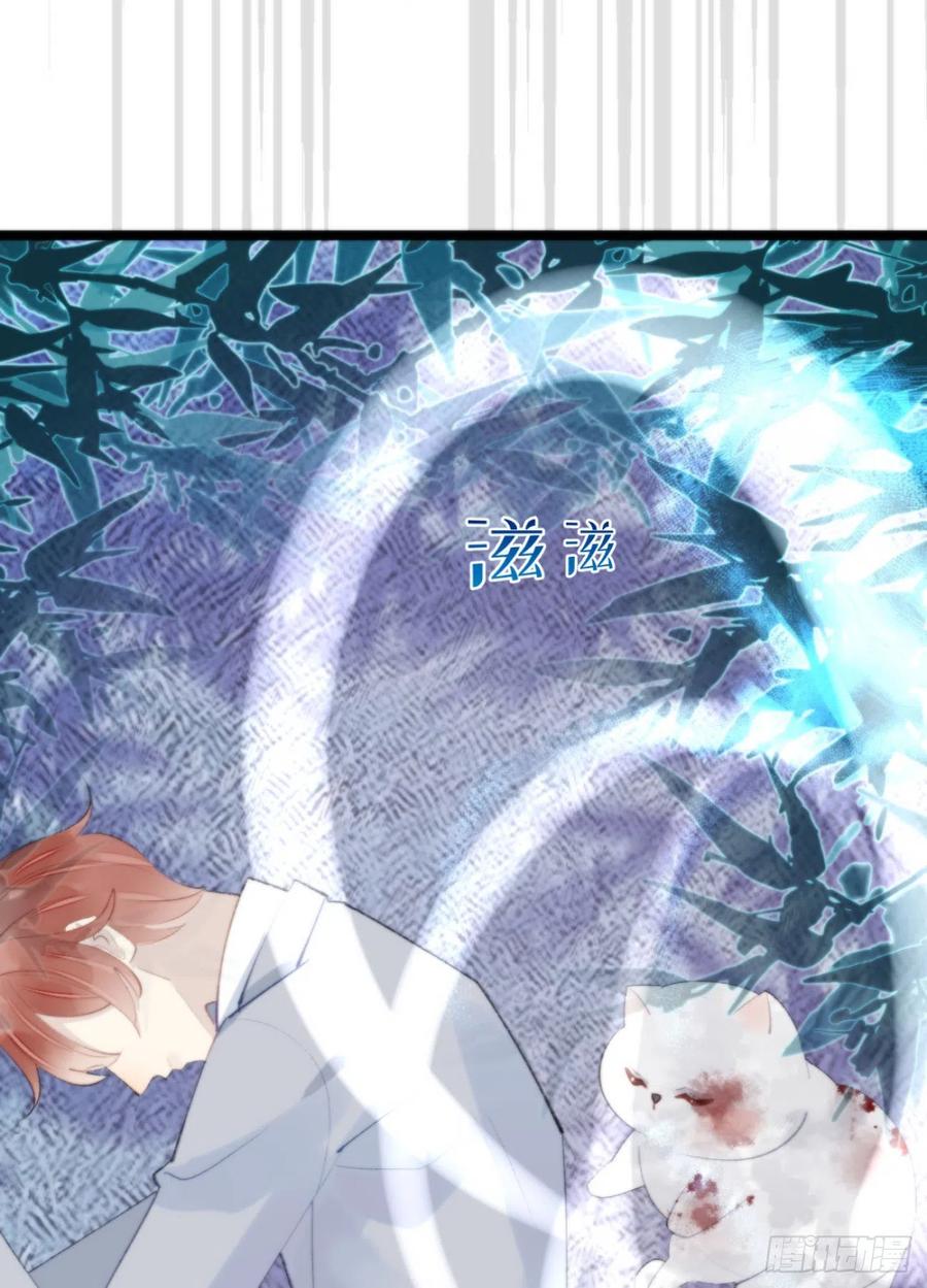 《我捡的流浪猫变成人了？》87.别装了行吗？ 第41页