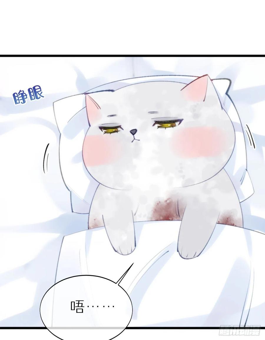 《我捡的流浪猫变成人了？》96.这就带你回家 第39页