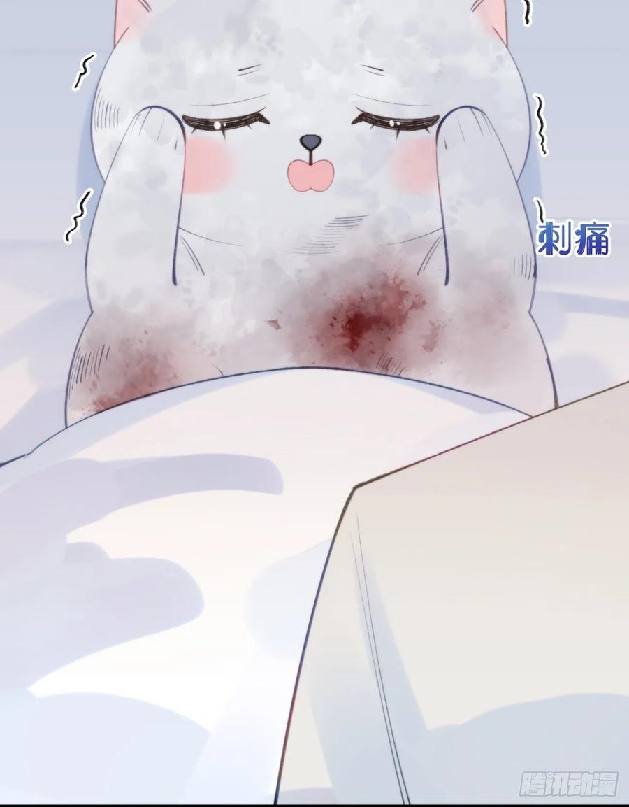 《我捡的流浪猫变成人了？》96.这就带你回家 第47页