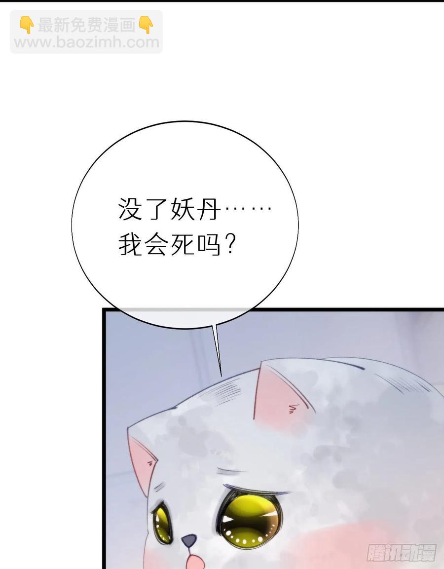 《我捡的流浪猫变成人了？》96.这就带你回家 第48页