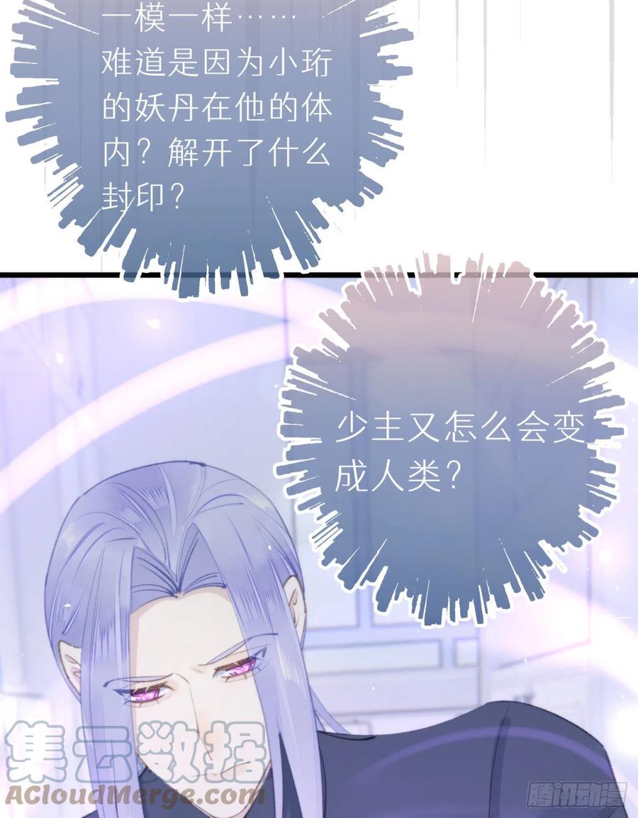 《我捡的流浪猫变成人了？》97.恢复力量的方法是…双修？ 第40页