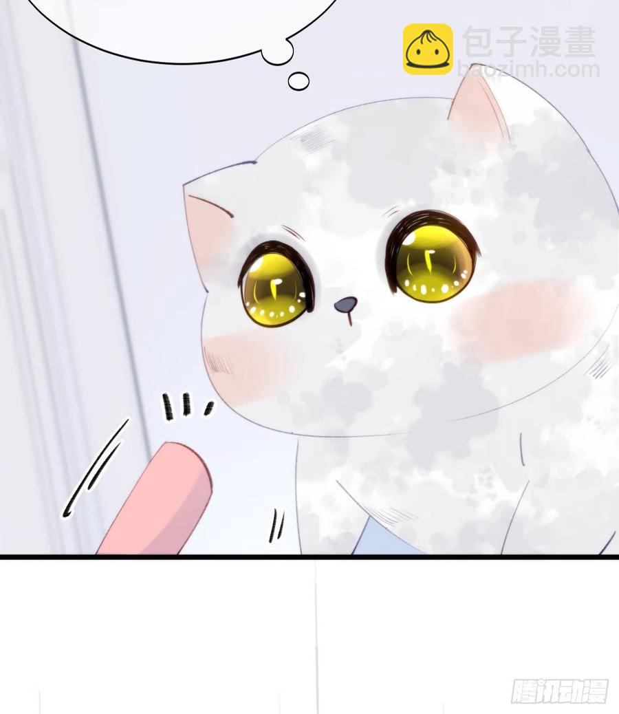 《我捡的流浪猫变成人了？》95.妖丹 第14页