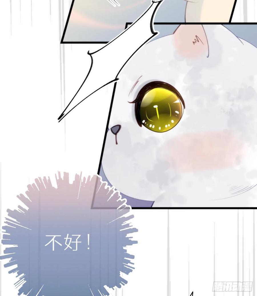 《我捡的流浪猫变成人了？》95.妖丹 第18页