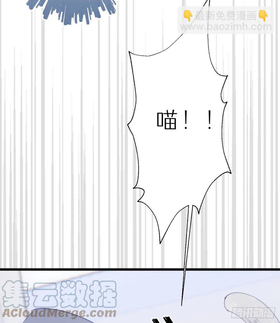 《我捡的流浪猫变成人了？》95.妖丹 第19页