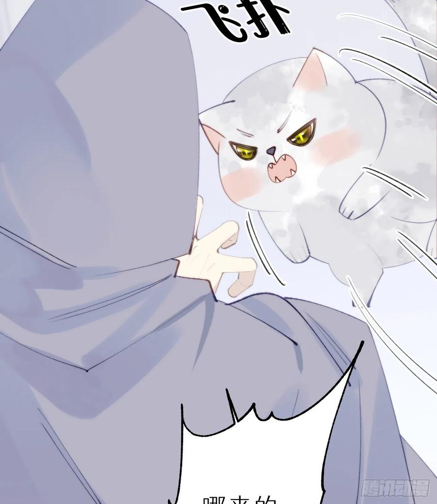 《我捡的流浪猫变成人了？》95.妖丹 第20页