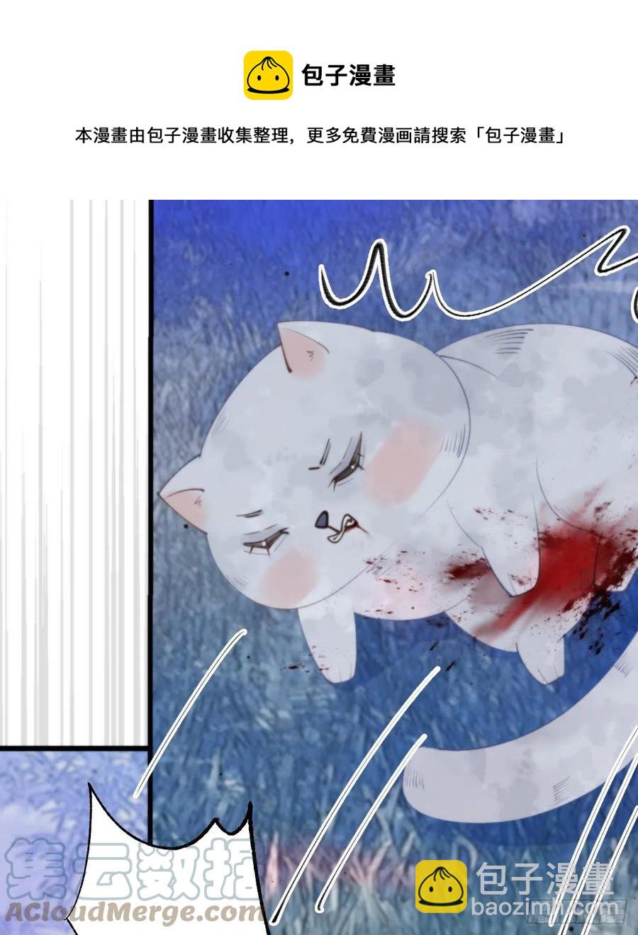 《我捡的流浪猫变成人了？》95.妖丹 第37页
