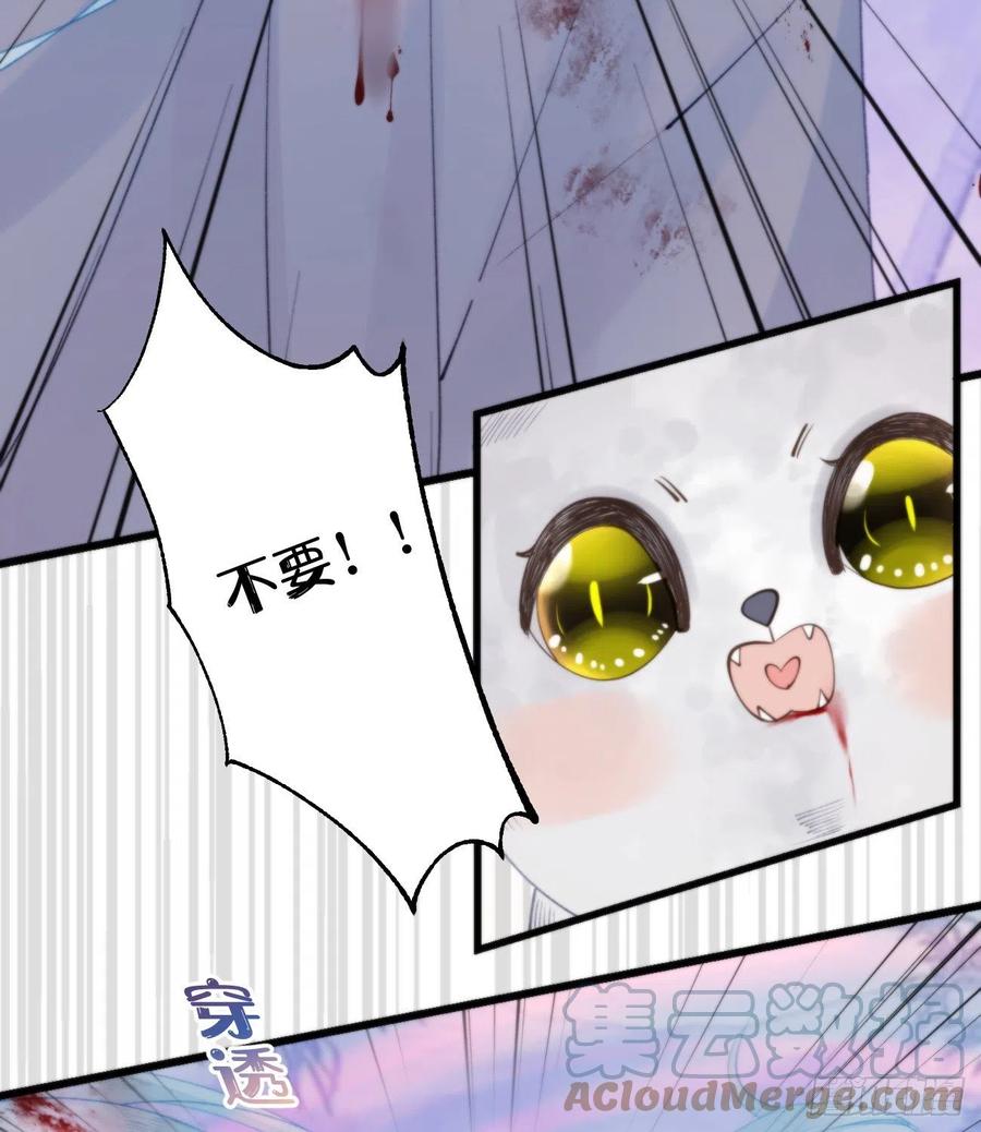 《我捡的流浪猫变成人了？》95.妖丹 第40页