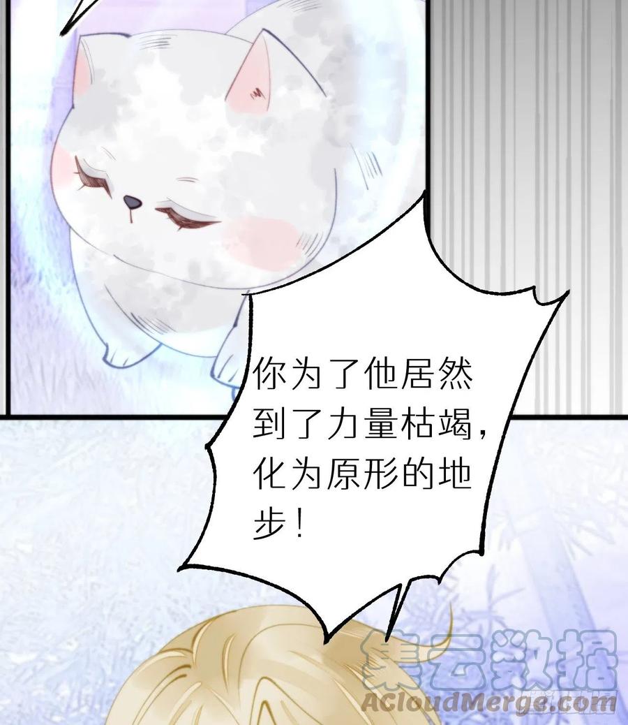 《我捡的流浪猫变成人了？》94.转生 第43页