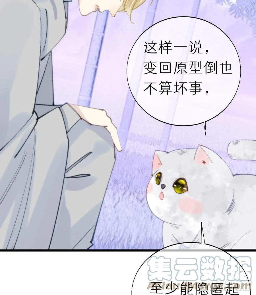 《我捡的流浪猫变成人了？》94.转生 第46页