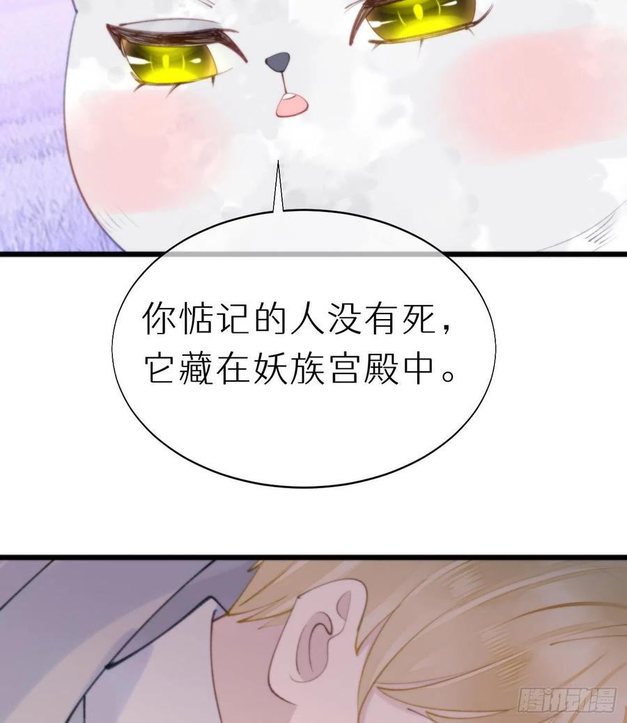 《我捡的流浪猫变成人了？》94.转生 第48页