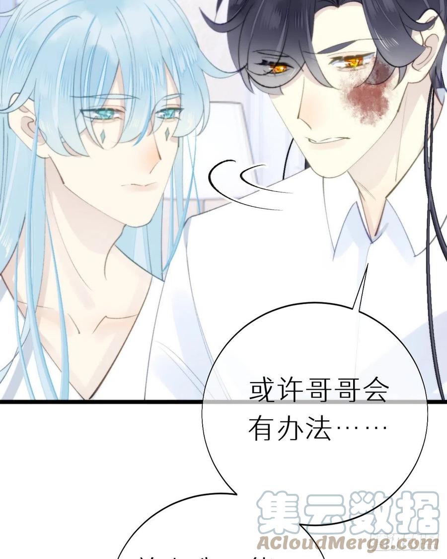 《我捡的流浪猫变成人了？》102.我也爱你 第43页